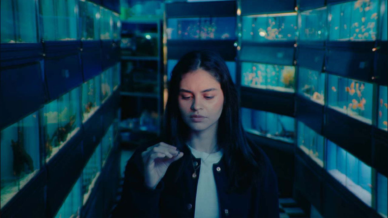 Lacuna Movie Screenshot 2